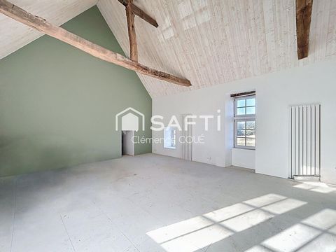photo no. 13