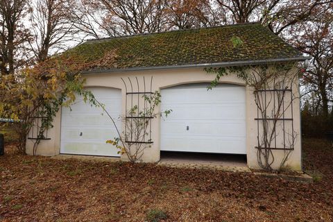 photo no. 16