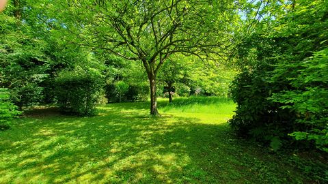 photo no. 12