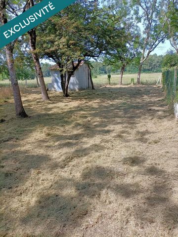photo no. 16
