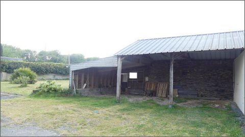 photo no. 6