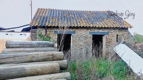 photo no. 8
