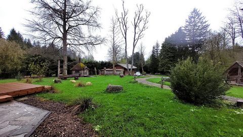 photo no. 1