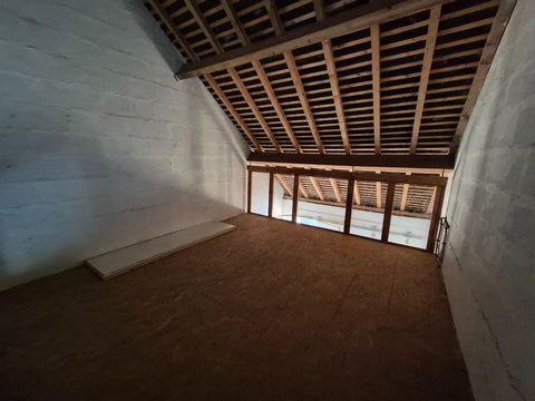 photo no. 13