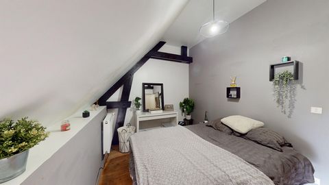 photo no. 8