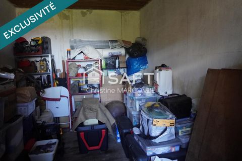 photo no. 5