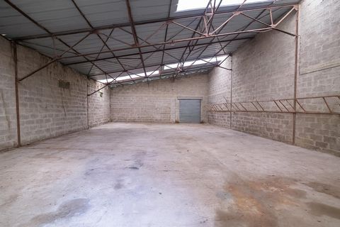 photo no. 11