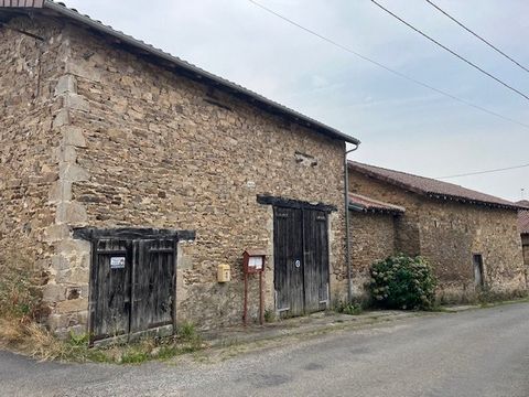 photo no. 12