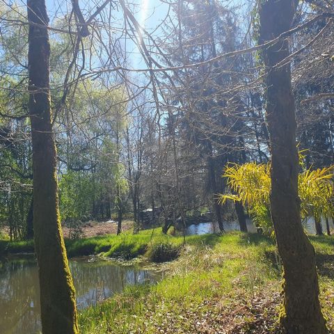 photo no. 4
