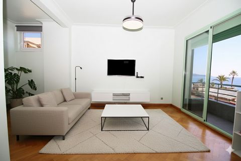 photo no. 6
