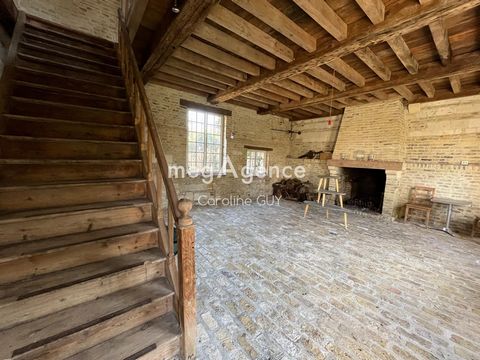 photo no. 10