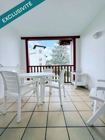 Joli T1 meublé avec terrasse et parking