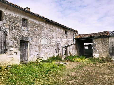 photo no. 2
