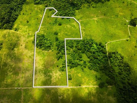 29 Acres of Lush Development Land with Agricultural & Tourism Potential – Carawina, Westmoreland Jamaica This fertile property offers rare potential for eco-tourism and agriculture. The rich soil supports crops like cassava—used by Red Stripe Beer, w...