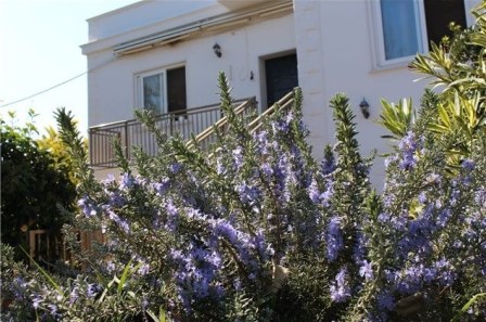 4 bedroom villa with trullo, a 30 sq m annex and an olive grove situated only 3 km from the town of San Pietro in Bevagna The detached villa is on 2 floors and currently divided into 2 self-contained apartments of 100 sq m each. On the ground floor i...