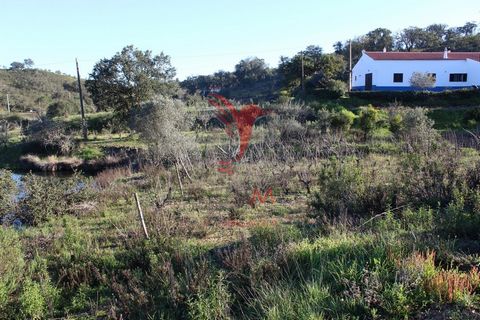 The land is located in the rural area of Vale Figueira, in São Bartolomeu de Messines. This rustic plot is a unique opportunity and the perfect place to escape the hustle and bustle of city life. With 3960m2 of land and tree culture, this rustic plot...