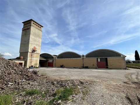 CASTIGLIONE DEL LAGO (PG), Loc. Pozzuolo umbro: Commercial/craft/industrial building of approximately 5000 sqm divided into two structures composed of: - Unit 1: Large industrial building of approx. 4000 sqm with three independent entrances, toilets,...