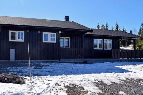 Well-kept holiday home in a secluded location surrounded by beautiful nature. A holiday home just as suitable in summer as in winter. Great hiking trails right outside the door, and in the summer, you can find lots of mullets and blueberries. Several...
