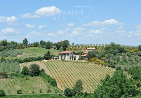 MONTEPULCIANO (SI): in the world-famous Tuscan village, organic wine estate consisting of: * 3 hectares of mainly D.O.C.G. Nobile di Montepulciano vineyards placed on rows divided into two adjoining bodies; * approximately 1.5 Ha of olive grove locat...