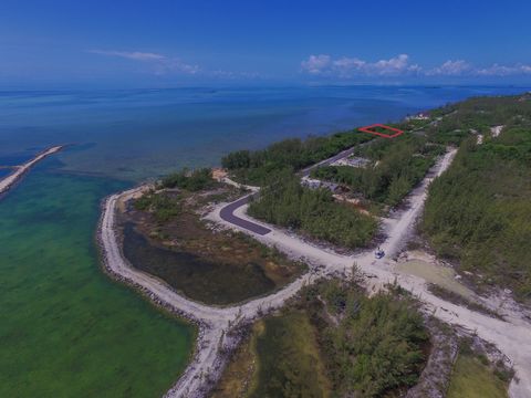 Discover an unparalleled opportunity to create your dream coastal residence on this expansive 12,497 sq.ft. beachfront single-family vacant lot within the prestigious South Seas gated community. Enveloped by the allure of only 280 residential home si...