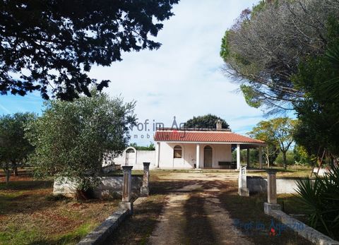 For sale is a charming and characteristic farmhouse in the countryside of Carovigno, located a short distance from the sea and the town. The property has characteristic vaulted ceilings and has 4 rooms, including exactly one living area with fireplac...