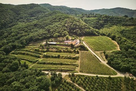 Dieses prächtige Bauernhaus liegt in einer der schönsten Gegenden der Toskana. Chianti, auf der ganzen Welt für seine erlesenen Weine bekannt, ist eine bezaubernde Kulisse aus Hügeln und Dörfern, die einen Besuch wert sind. Das mit Sorgfalt und hochw...