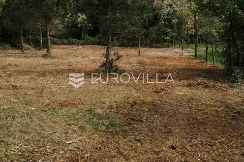 In the vicinity of Labin, there is a building plot of 3022 m2 for sale, ideal for building several holiday homes. It is connected with a plot of 966 m2 that belongs to the same owner, so it is possible to buy both. The land is located in a quiet sett...