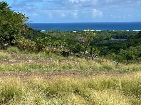 This beautiful flat plot of land located in LE MARIN district Cap Marin, will seduce you with its location and its soothing environment. This plot of land enjoys magnificent views of the Atlantic and is five minutes from the wild beach of Cap Macré. ...
