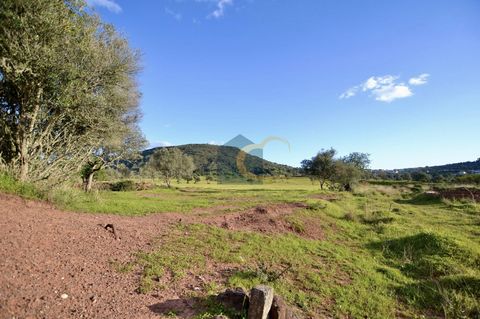 Rustic land with 2200m2, located 2km away from São Bartolomeu de Messines. Flat terrain with great sun exposure. Accessible by pedestrian path. Descrição criada por Inteligência Artificial
