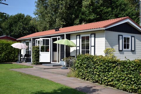 Recreation park De Boshoek in the Veluwe is a holiday park for young and old. Our facilities are very child-friendly and we have countless possibilities for entertainment! Think of a sports park with interactive soccer wall or various playgrounds bot...