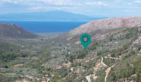 Property Code. 11438 - Agricultural FOR SALE in Thasos Mikros Prinos for €120.000 . Discover the features of this 12500 sq. m. Agricultural: Distance from sea 4500 meters, Distance from nearest village: 1500 meters, Facade length: 145 meters, depth: ...
