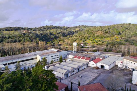 Oportunidade Única de Investimento: Antiga Fábrica de Papel em Tomar com Potencial Logístico, Turístico e Energético