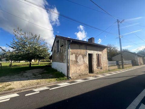 photo no. 2
