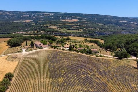 On a commune between the Vaucluse and Alpes-de-Hautes-Provence regions, a huge estate with almost 1,000 m² of living space and more than 200 ha of breathtaking views. The property unfolds like a real hamlet, with a main mas, an old sheepfold, a basti...