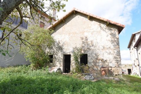 photo no. 1