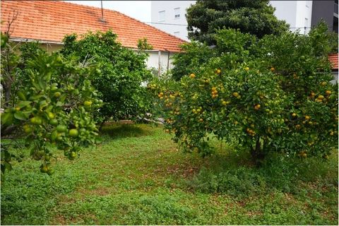 Location: Zadarska županija, Zadar, Bulevar. Haus zum Verkauf mit großem Garten in toller Lage in Zadar, Bulevar/Smiljevac, in der Nähe aller lebensnotwendigen Einrichtungen Eine Immobilie, die viele Erinnerungen birgt, ist bereit für einen neuen Eig...