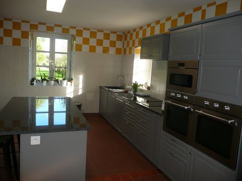 photo no. 15