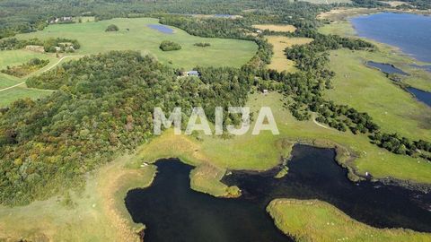 Detta är ett paradis för naturentusiaster, perfekt för fågelskådning, jakt, fiske, svampplockning och bärplockning. Ösel erbjuder en mångsidig miljö för både boende och semester, fylld med intressanta aktiviteter. För mer information, besök: https://...