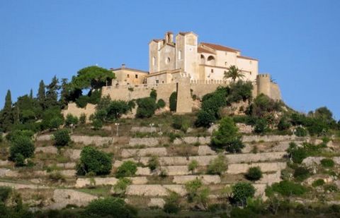 House with Pool in the Center of the town Arta. Detached corner house next to a beautiful Church with a landscaped patio and small private pool. Ideal for sunbathing and relaxing outdoors. Dining area and outdoor porch to spend pleasant evenings. The...