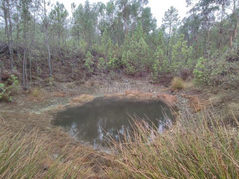 Rustiek land op de heuvel op 200 meter van Chã da Vã, parochie van Juncal Campo, Castelo Branco. Het land bestaat uit een deel terrasvormig landbouwgebied met sinaasappel- en olijfbomen, het heeft 2 putten en 1 vijver, het andere deel in het hoger ge...