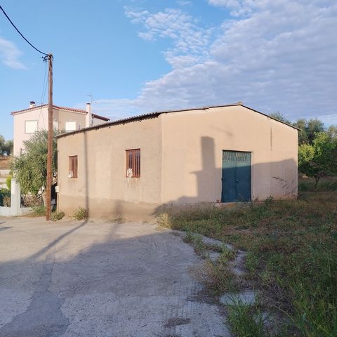 For Sale Building in Draconeri, Messinia, it was a Residence and then it was changed to a Warehouse. There is the possibility of professional use as well as residential use. That is, a change of use can be made from a warehouse to a residence. The bu...