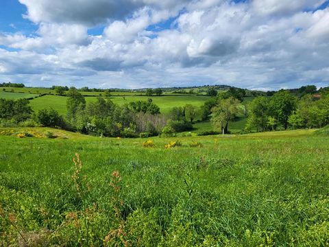 En exclusivité Nathalie Collon vous présente, à moins d'1h de Lyon, dans un agréable lotissement, un magnifique terrain de 685 m2 entièrement viabilisé, possédant également une cuve de récupération des eaux de pluie . Vous serez séduit par la vue dom...