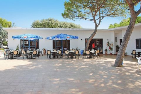 Holiday complex with apartments, bungalows and a camping site in the middle of a large pine forest in the immediate vicinity of the beach in the seaside resort of Lido del Sole on the Gargano coast. The ideal location offers numerous recommended excu...