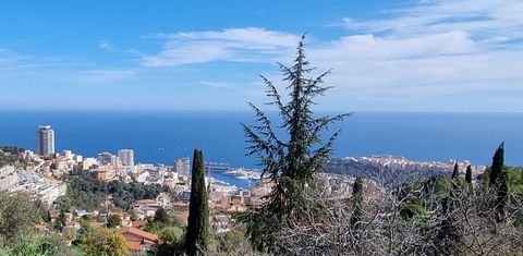 Le terrain est idéalement situé à seulement quelques minutes de la Principauté de Monaco, accessible en environ 5 à 7 minutes en voiture. Cette proximité permet de bénéficier de l'effervescence et des services haut de gamme de Monaco tout en offrant ...