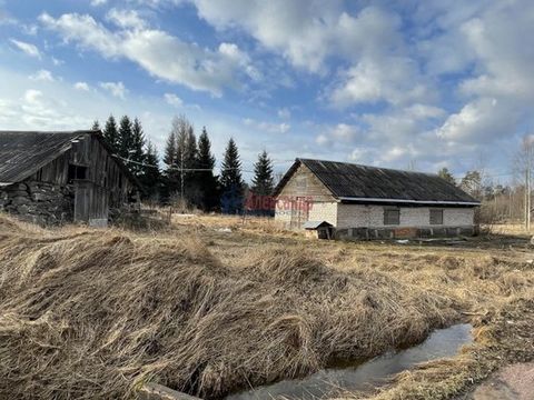 1557521 В поселке Беличье предлагается к продаже земельный участок общей площадью 15 соток (возможность различения до 50 соток), разрешенное использование: личное подсобное хозяйство, категория земель: земли населенных пунктов. Участок огорожен и раз...