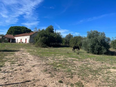 Apresentamos um terreno misto de 160.000 m² situado na zona privilegiada do Jardim de Cima, na freguesia da União de Freguesias de Santarém. Este terreno oferece uma excelente oportunidade para investimento, com grande potencial de urbanização, de ac...