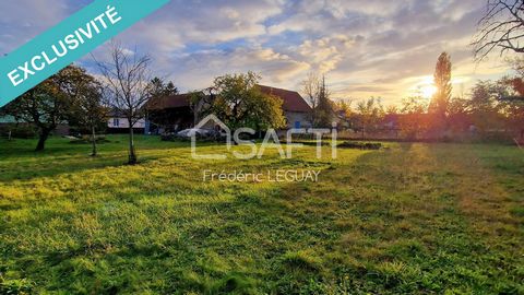 Situé à Offendorf, ce bien est idéalement implanté dans cette commune attrayante, proche des commodités et de points d'intérêt. Le terrain constructible et divisible de 1660 m², sur lequel est présent un bâti non clos d'environ 67m2 qui pourra être c...