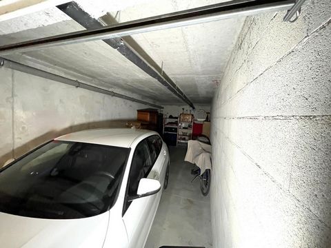photo no. 7