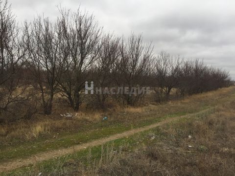 Номер в базе компании: 27660231. Продажа участка Ростовская обл., Каменский р-н., х. Диченский. Площадь участка 15 соток, газ в проекте, свет по меже. Назначение земли: земли сельхозназначения. Участок находится на ровной местности . На краю села по ...