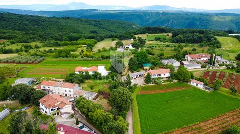 Location: Istarska županija, Barban, Barban. Istria, Barbana, dintorni Questa casa piena di potenziale si trova in una piccola cittadina non lontano da Barbana. Si trova in una strada tranquilla non lontana da tutti i servizi necessari alla vita. Le ...